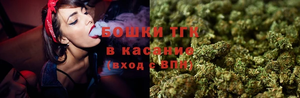 гашик Каменногорск