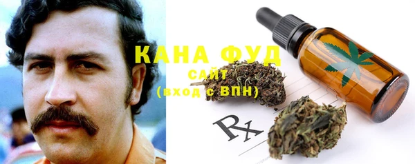 гашик Каменногорск
