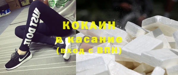 молекула духа Каменка