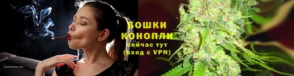 молекула духа Каменка