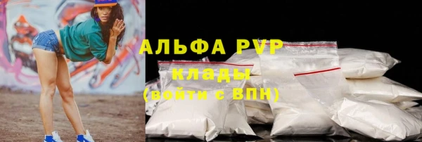 гашик Каменногорск