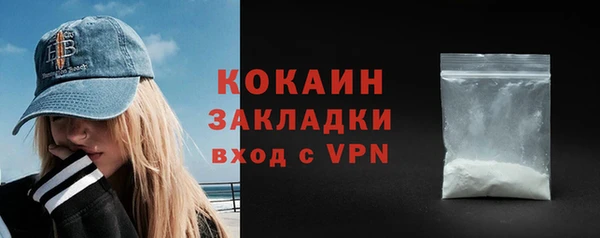 молекула духа Каменка