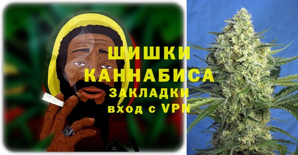 молекула духа Каменка