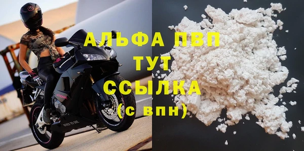 гашик Каменногорск