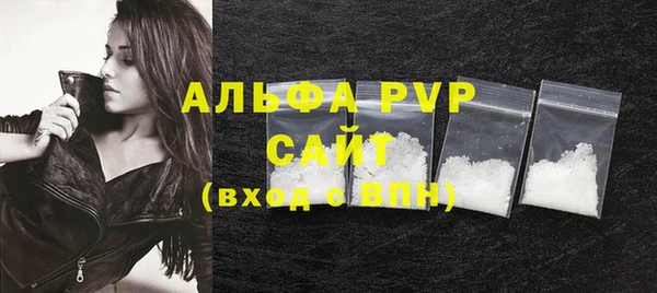 молекула духа Каменка
