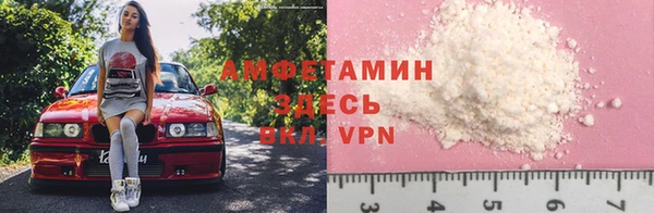 молекула духа Каменка
